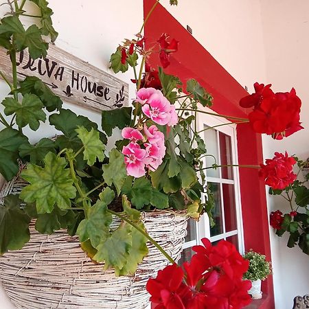 Quinta Da Mainha - Charming Houses Брага Екстериор снимка