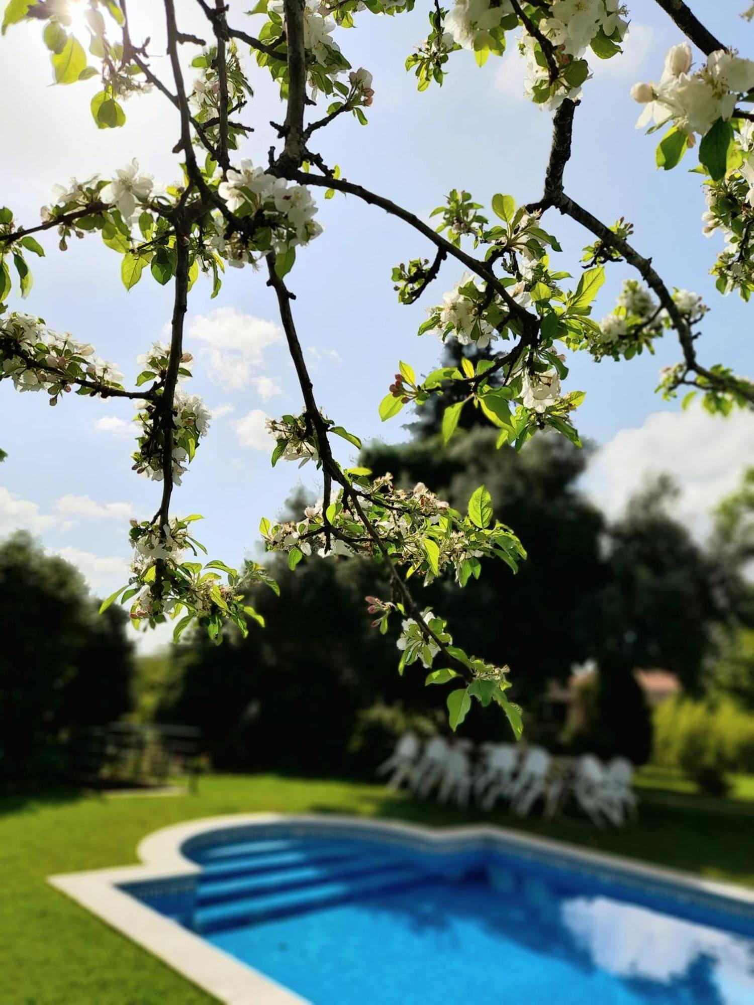 Quinta Da Mainha - Charming Houses Брага Екстериор снимка