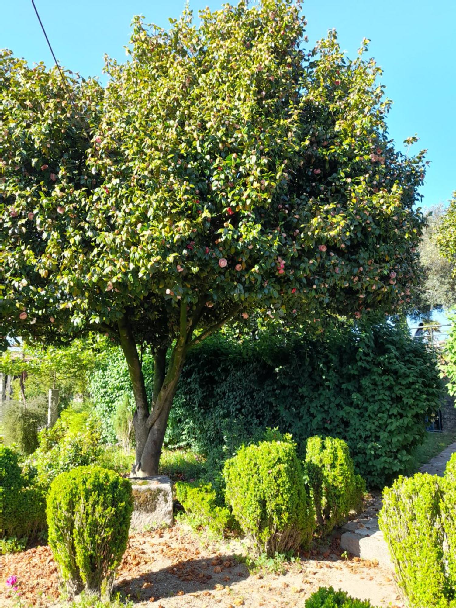 Quinta Da Mainha - Charming Houses Брага Екстериор снимка