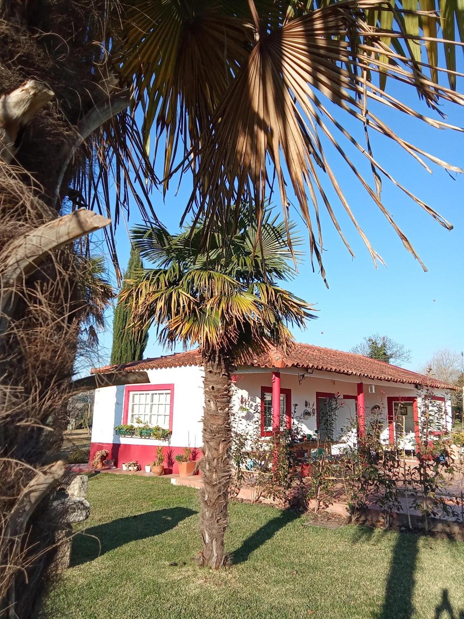 Quinta Da Mainha - Charming Houses Брага Екстериор снимка