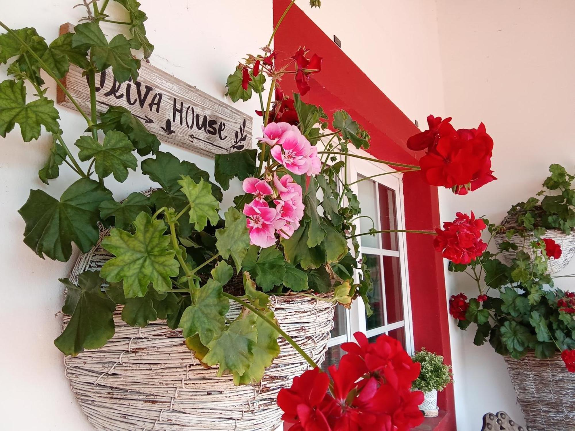 Quinta Da Mainha - Charming Houses Брага Екстериор снимка
