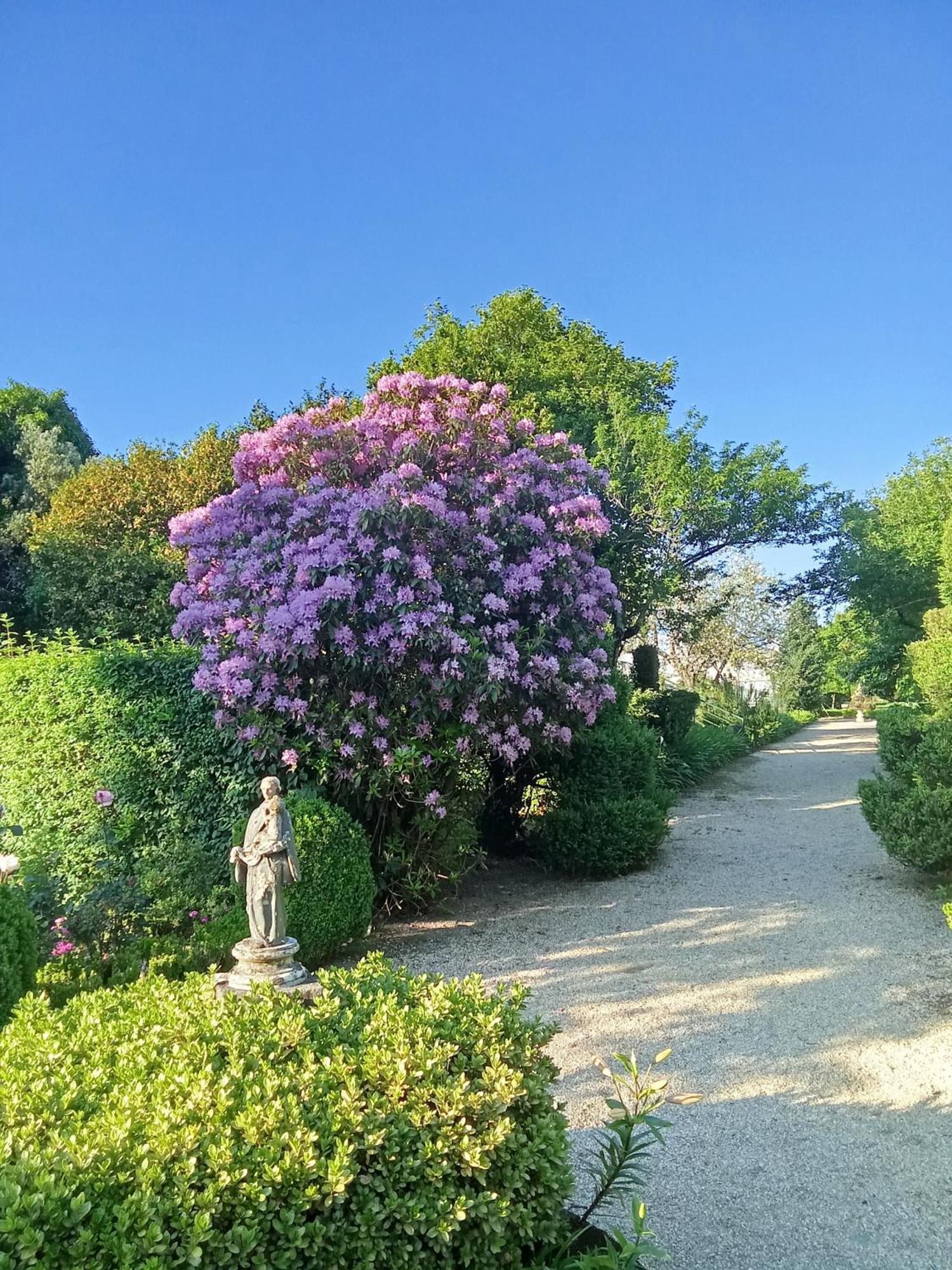 Quinta Da Mainha - Charming Houses Брага Екстериор снимка